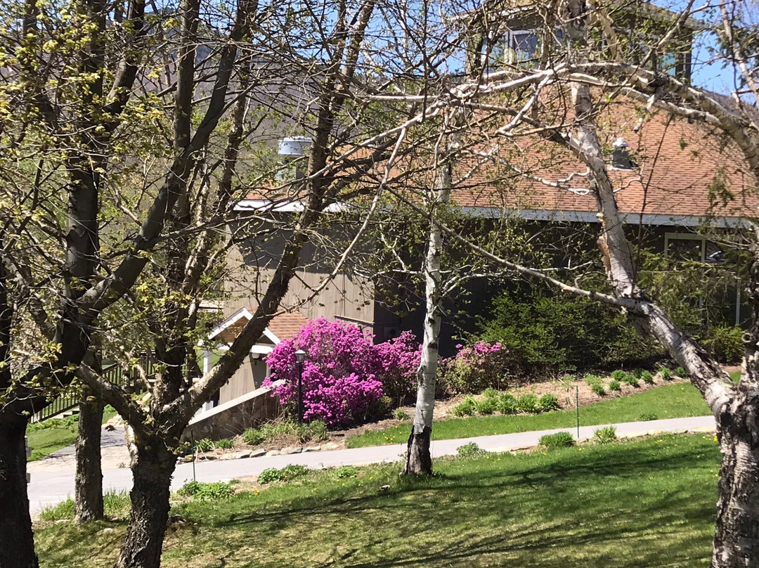 Haystack Golf Club-Wilmington必去景点