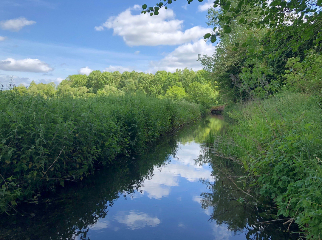 Tring (Marsworth)景点图片