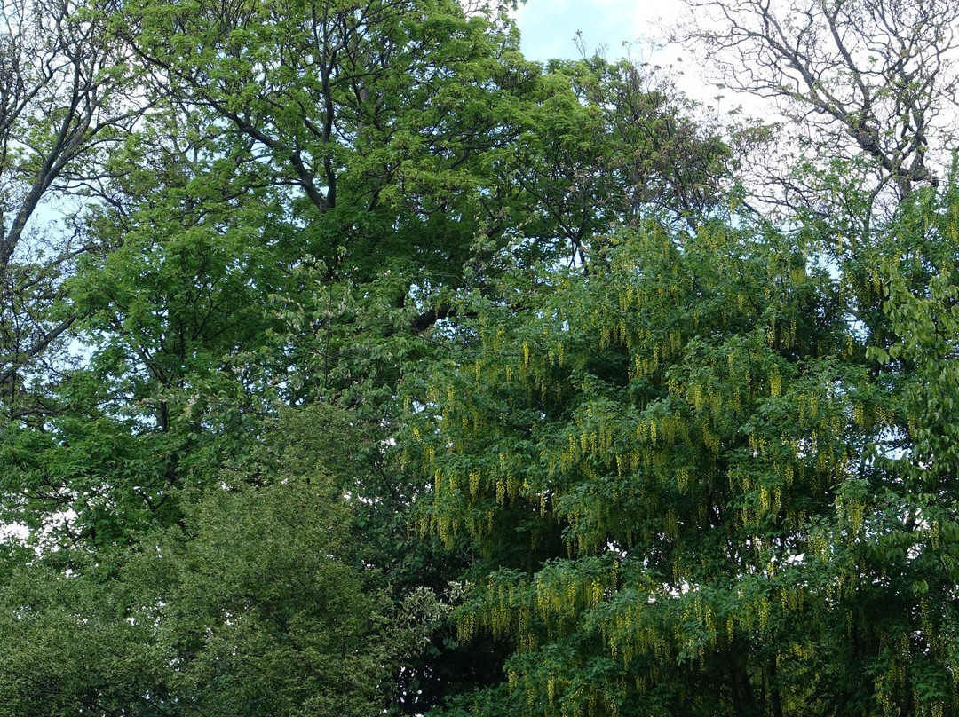 Oerstedsparken-哥本哈根必去景点