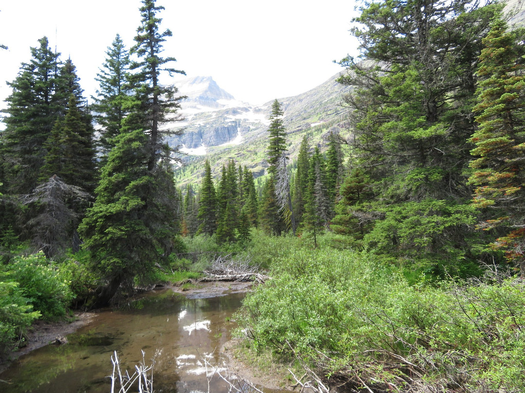 Grinnell Lake Trail景点图片
