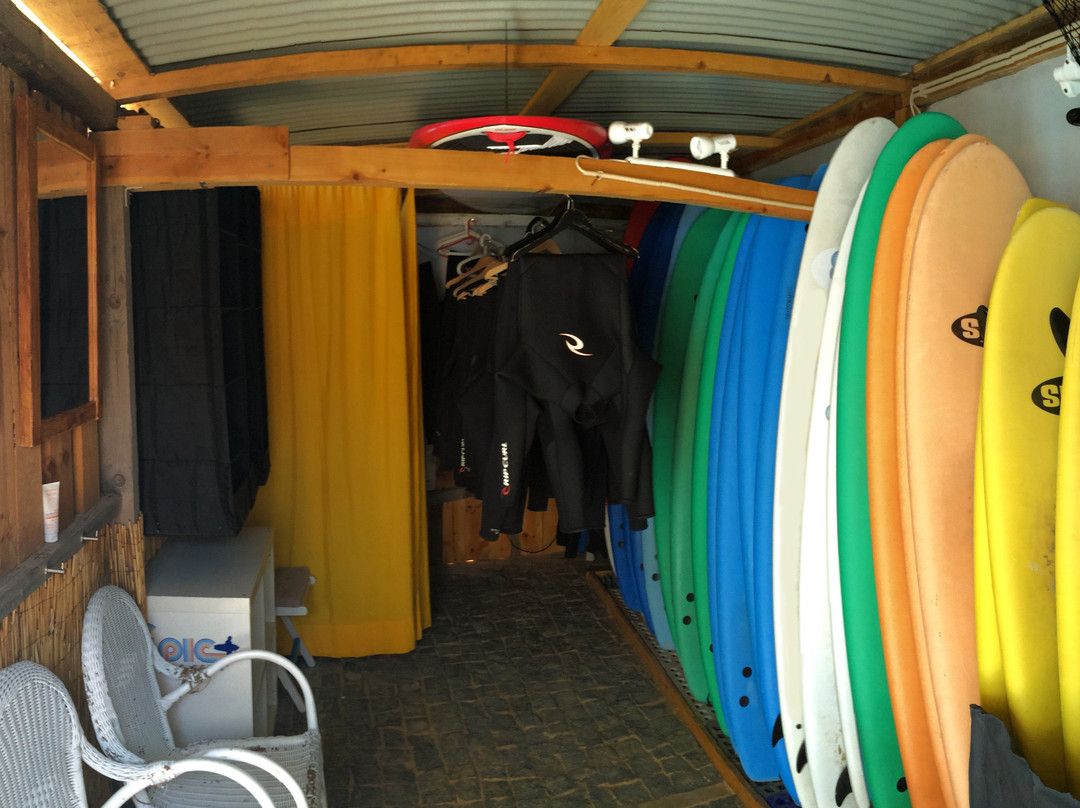 Epic Surf School-里斯本必去景点