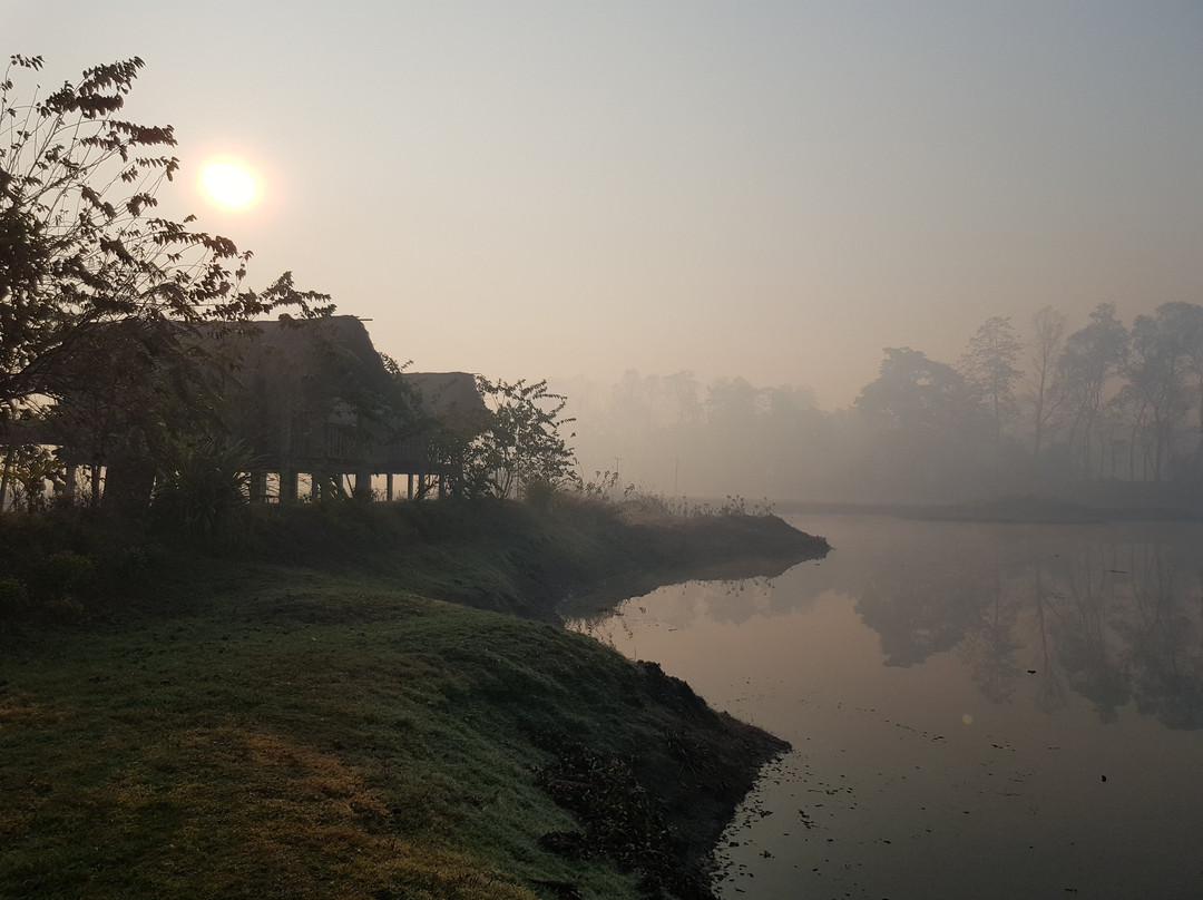 Ygdrasill Bamboo Cottage主图