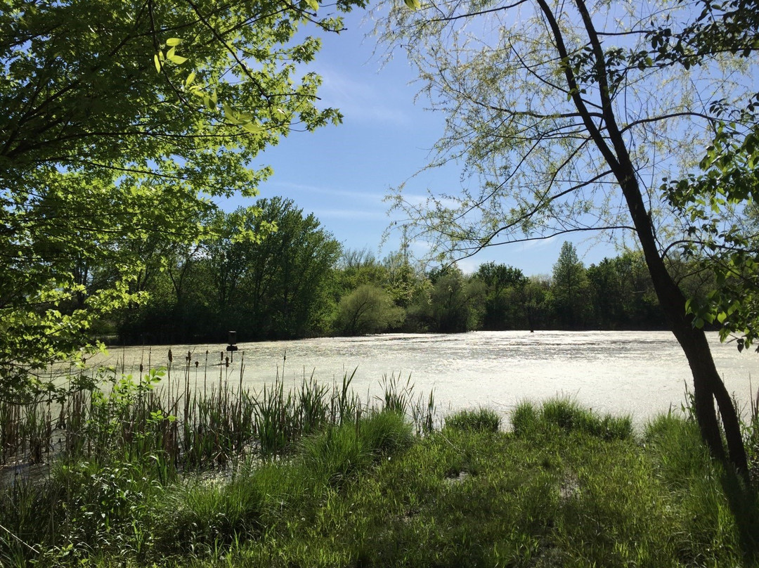 Sunflower Nature Park-De Soto必去景点