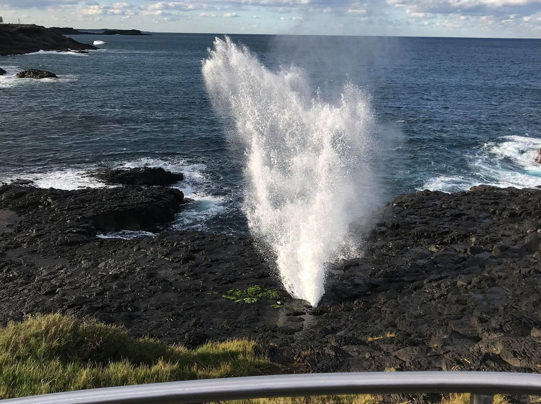 Little Blowhole Reserve “Endeavour Lookout”景点图片
