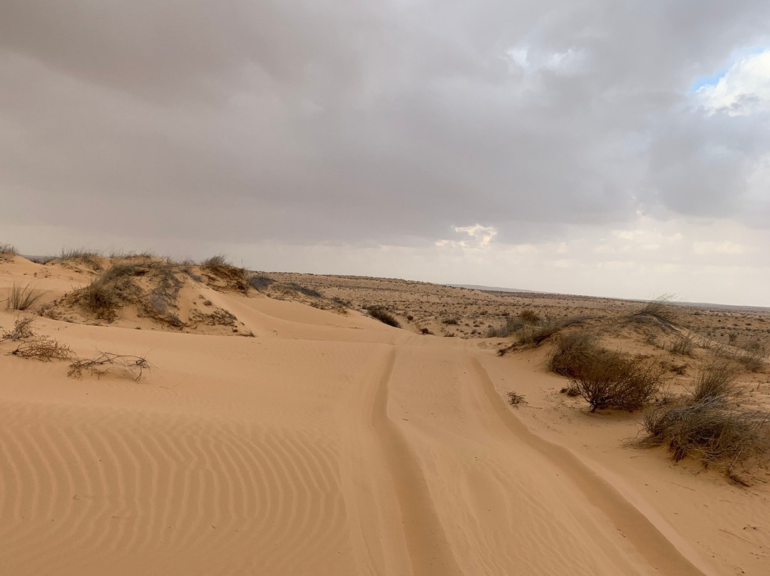 Nitzana National Park景点图片
