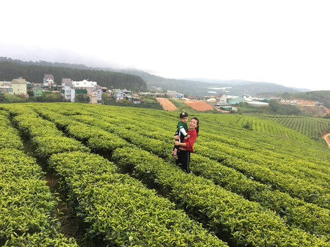 Vietnam Backpackers Travel