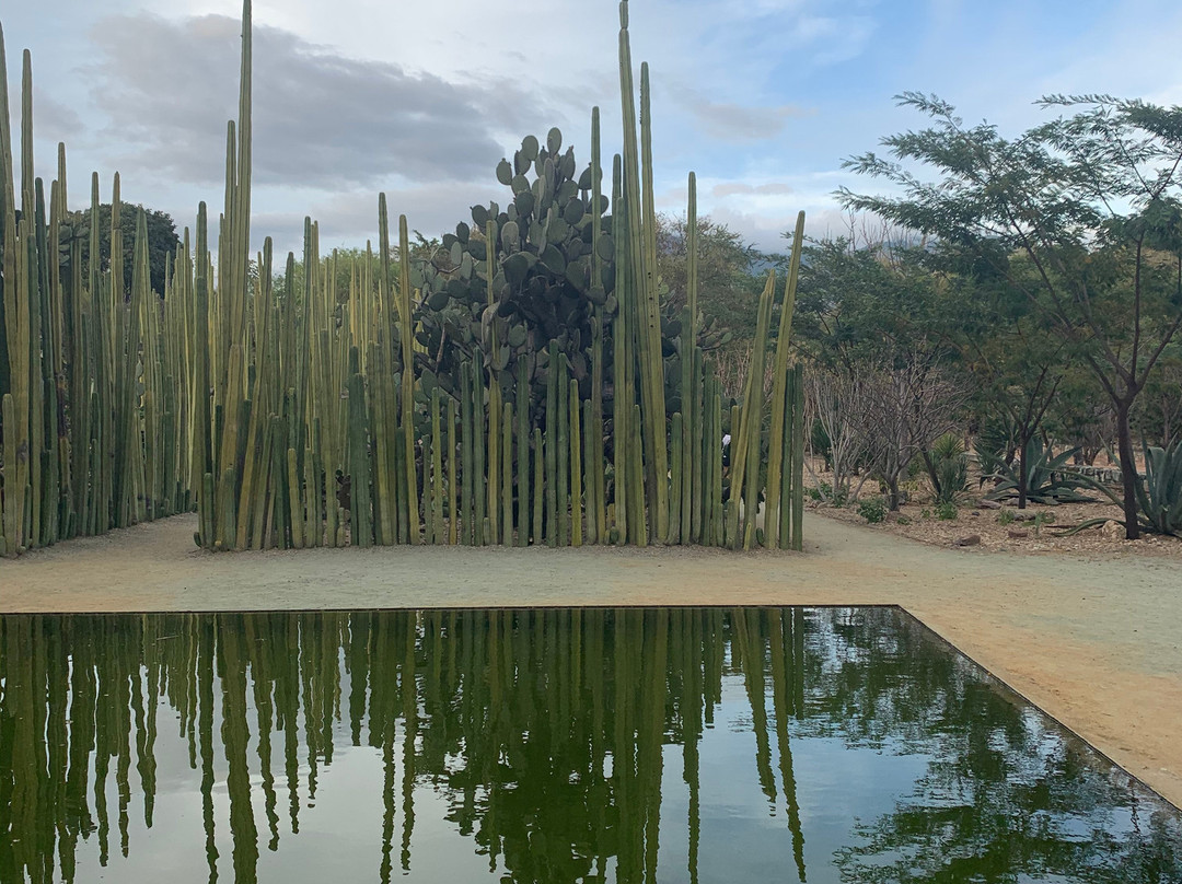 Jardin Etnobotanico de Oaxaca-瓦哈卡必去景点
