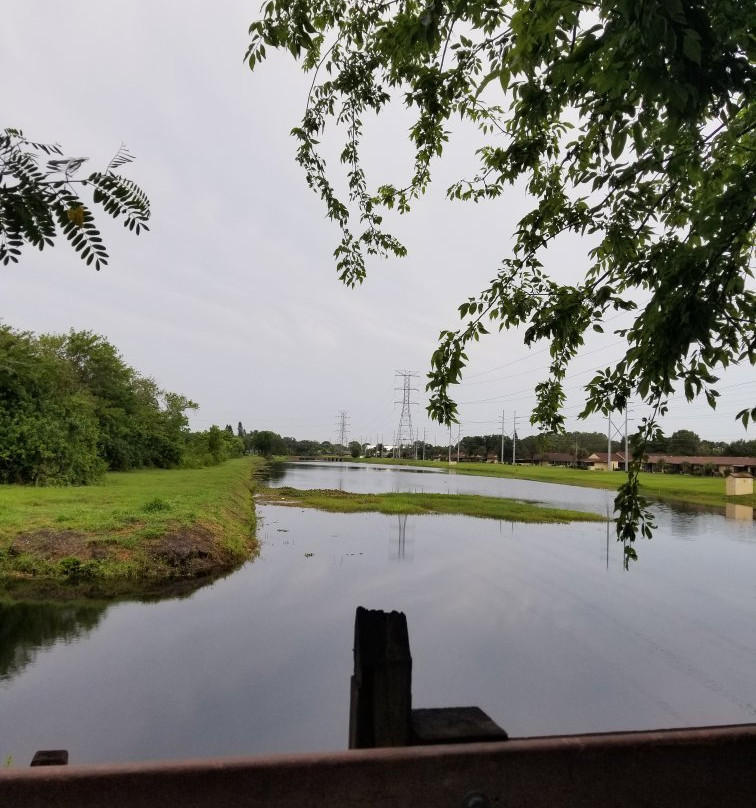 Largo Central Park Nature Preserve景点图片