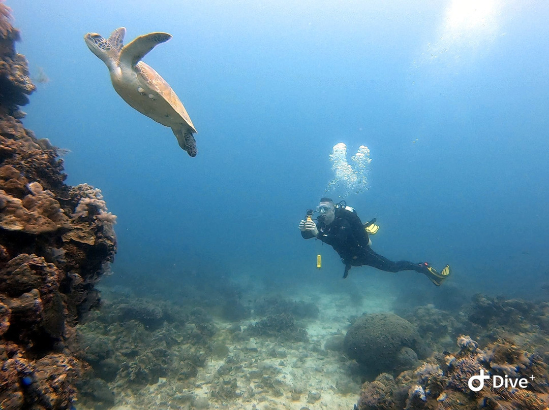 Dive Point Siquijor-圣胡安必去景点