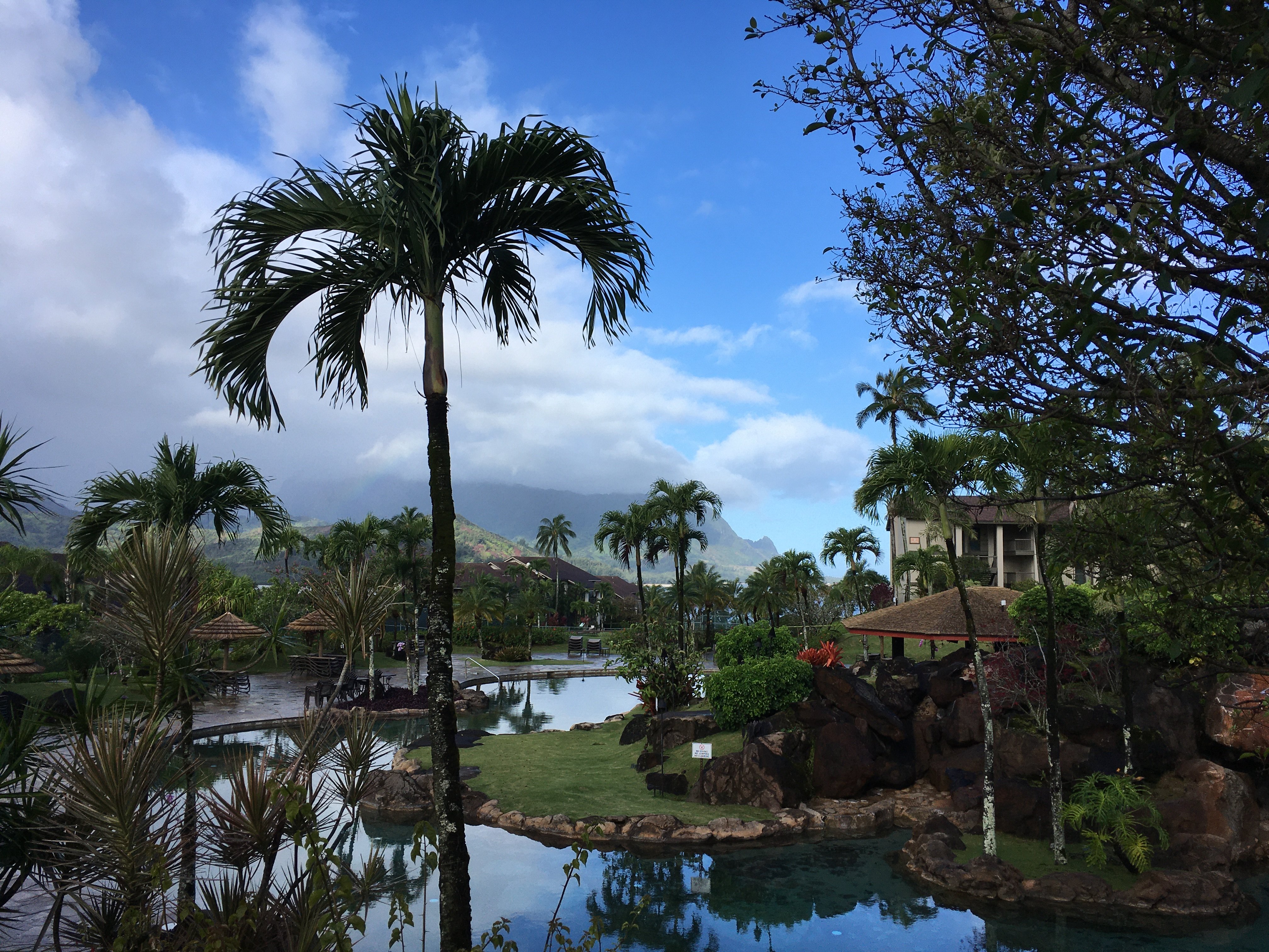 Hanalei Bay Resort-泳池