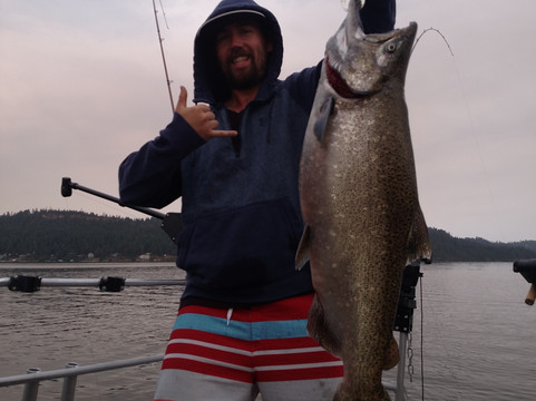 Premier Charters-科达伦必去景点