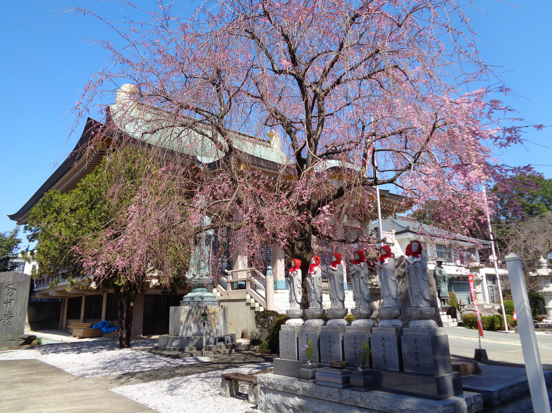Tamonji Temple-东久留米市必去景点