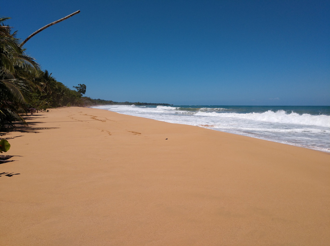 Island Plantation主图