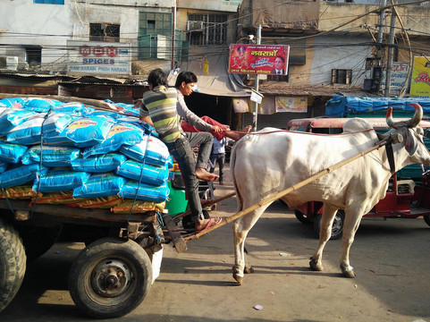 Exclusive India Tours-新德里必去景点