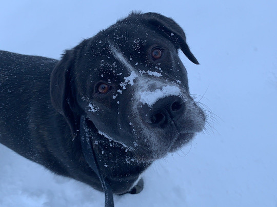 Vestmanna Saga Museum-Vestmanna必去景点
