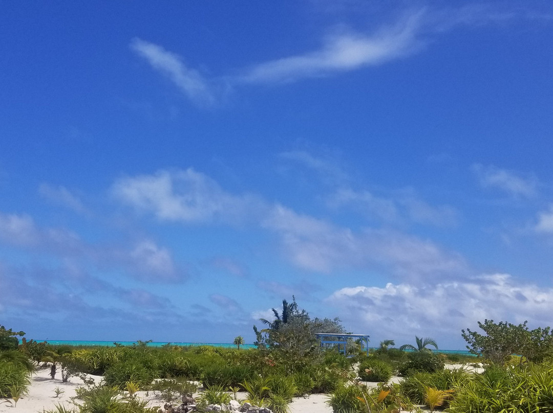 Andros Beach Club主图