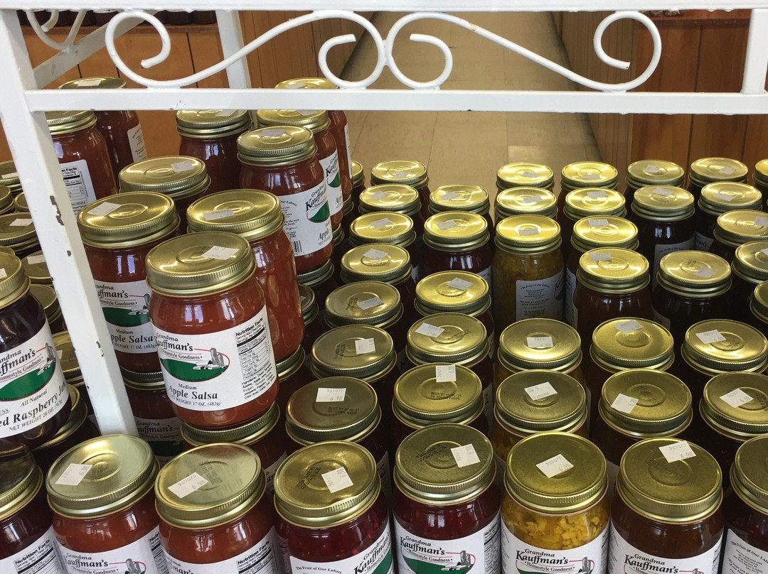 Magnolia Plantation-蒂夫顿必去景点