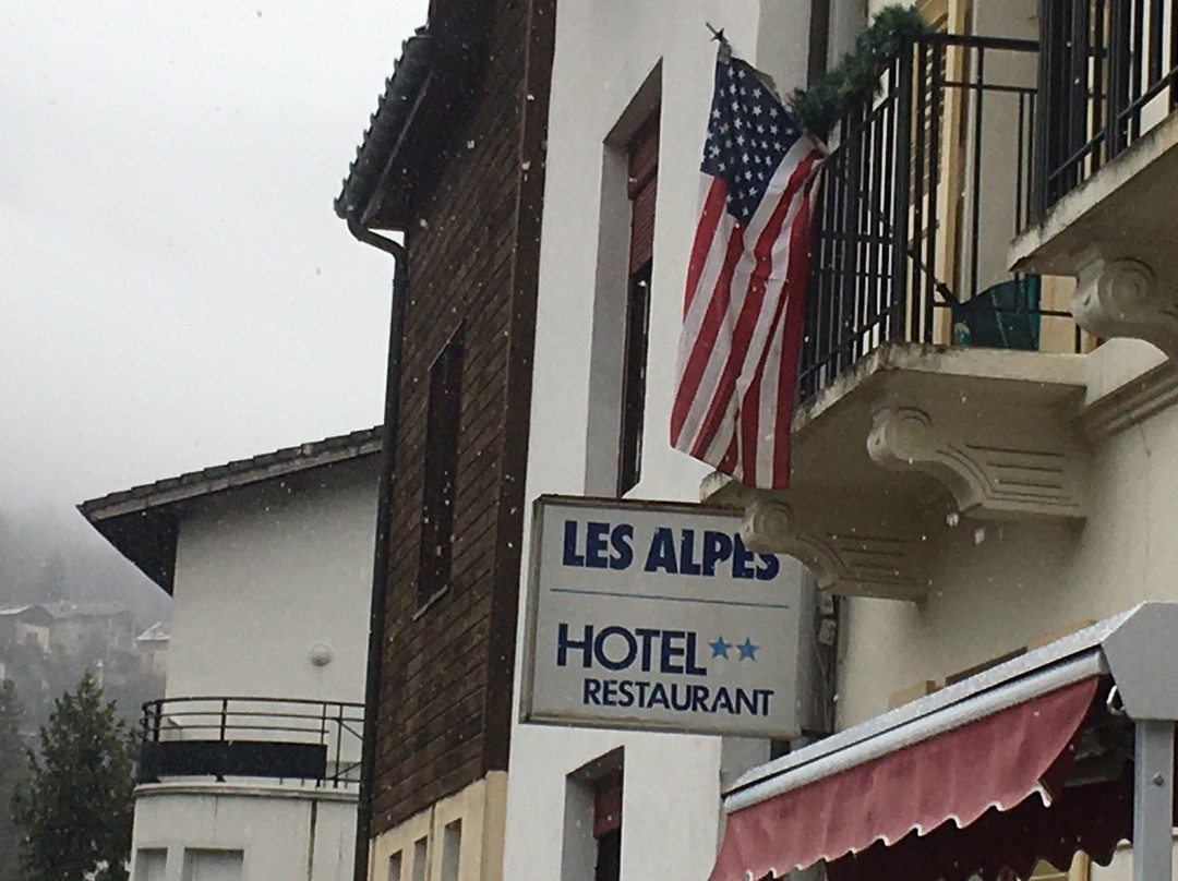 Hotel des Alpes主图