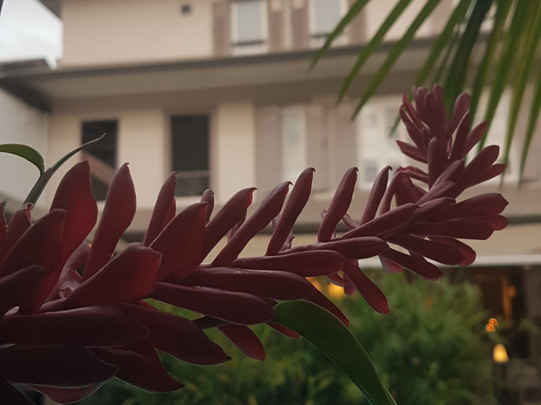 Hotel Ker Alberte ****主图