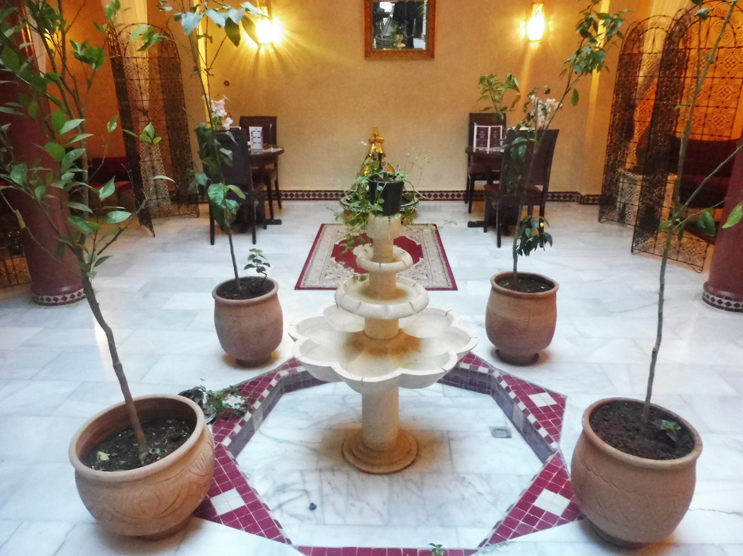 Riad Golf Stinia 1主图