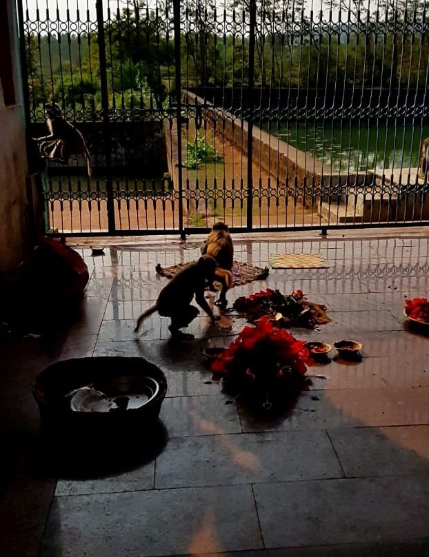 Maa Bauti Chandi Peeth-Badapokharia必去景点