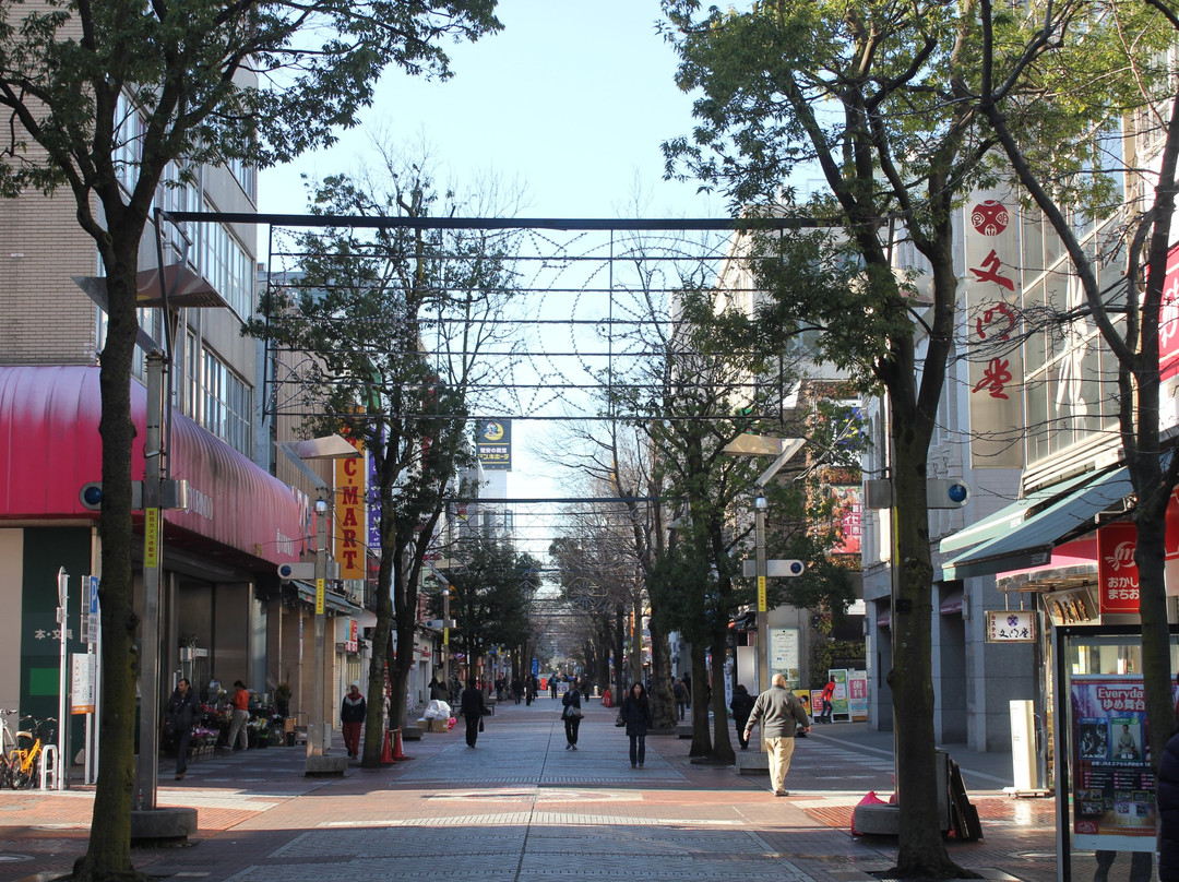 Isezaki Mall景点图片