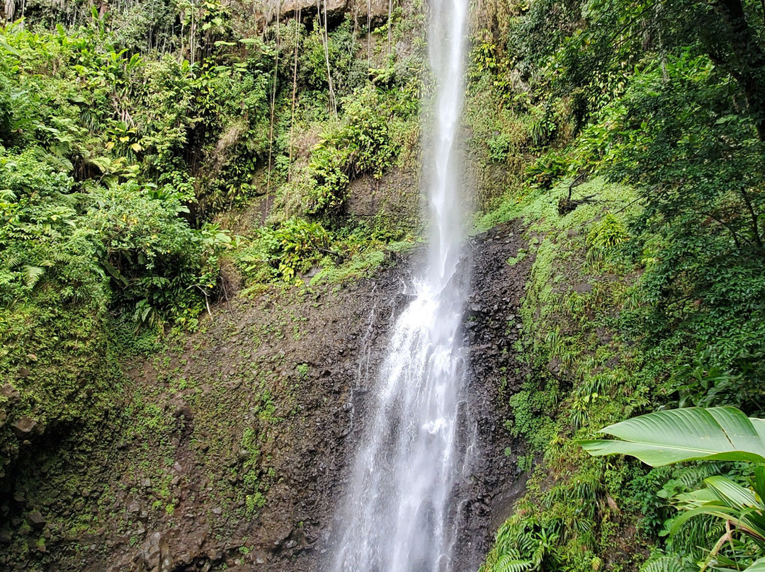 Just Go Dominica-多米尼克必去景点