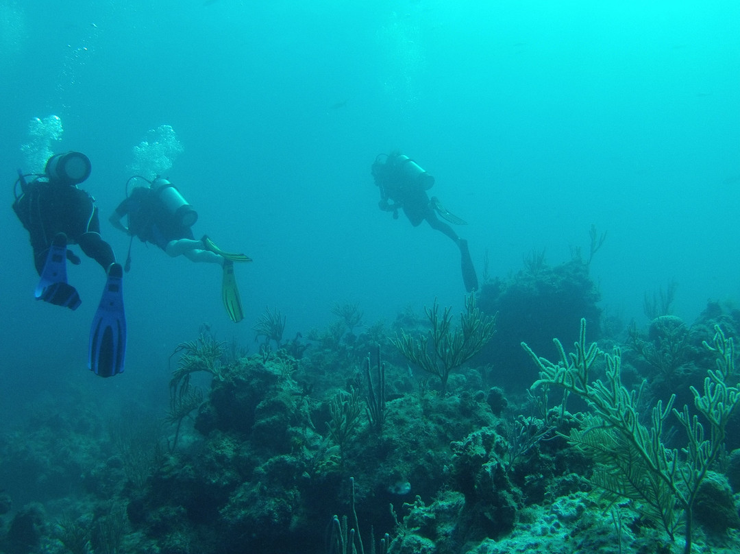 Melia Cayo Coco Diving Center景点图片