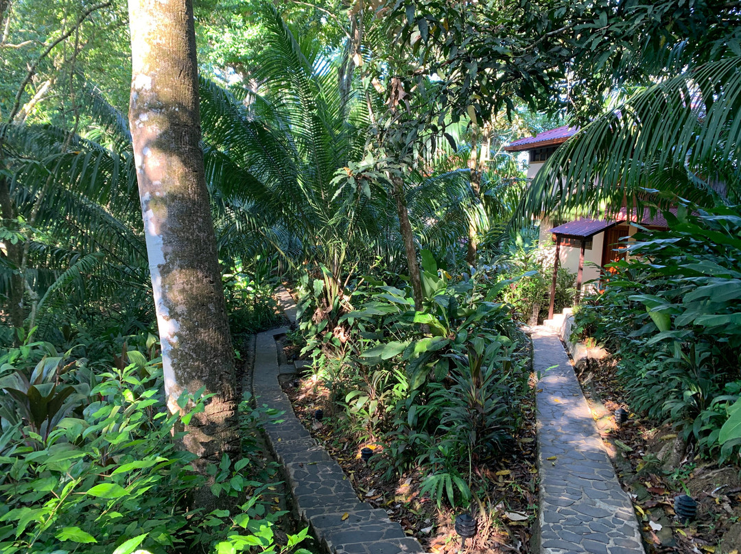 La Paloma Lodge Drake Bay主图