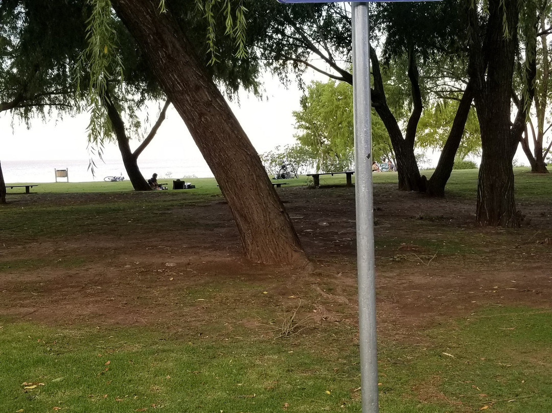 Aguila Grande Fuera del Tiempo Park-圣伊西德罗必去景点