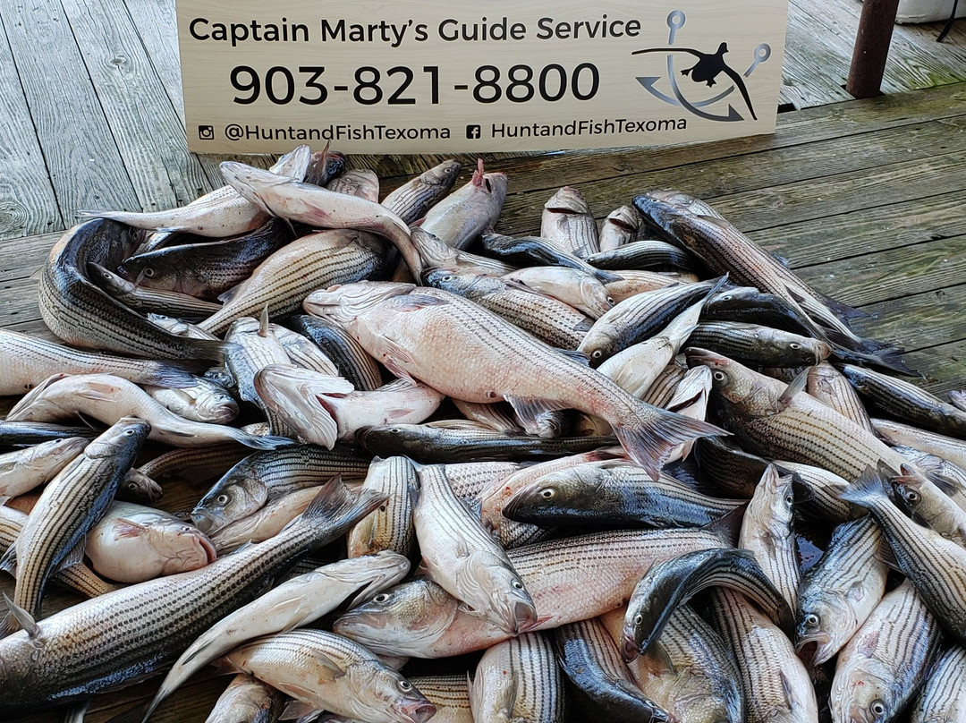 Captain Martys Lake Texoma Fishing Guides景点图片