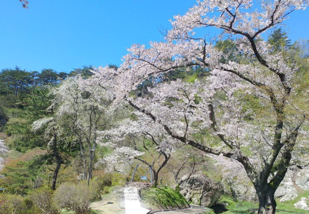 Kimimachizaka Park-能代市必去景点