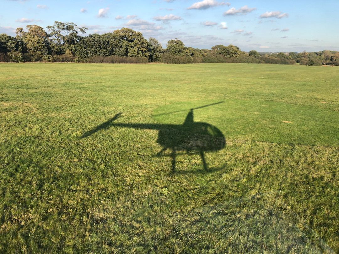 Flying Pig Helicopters景点图片