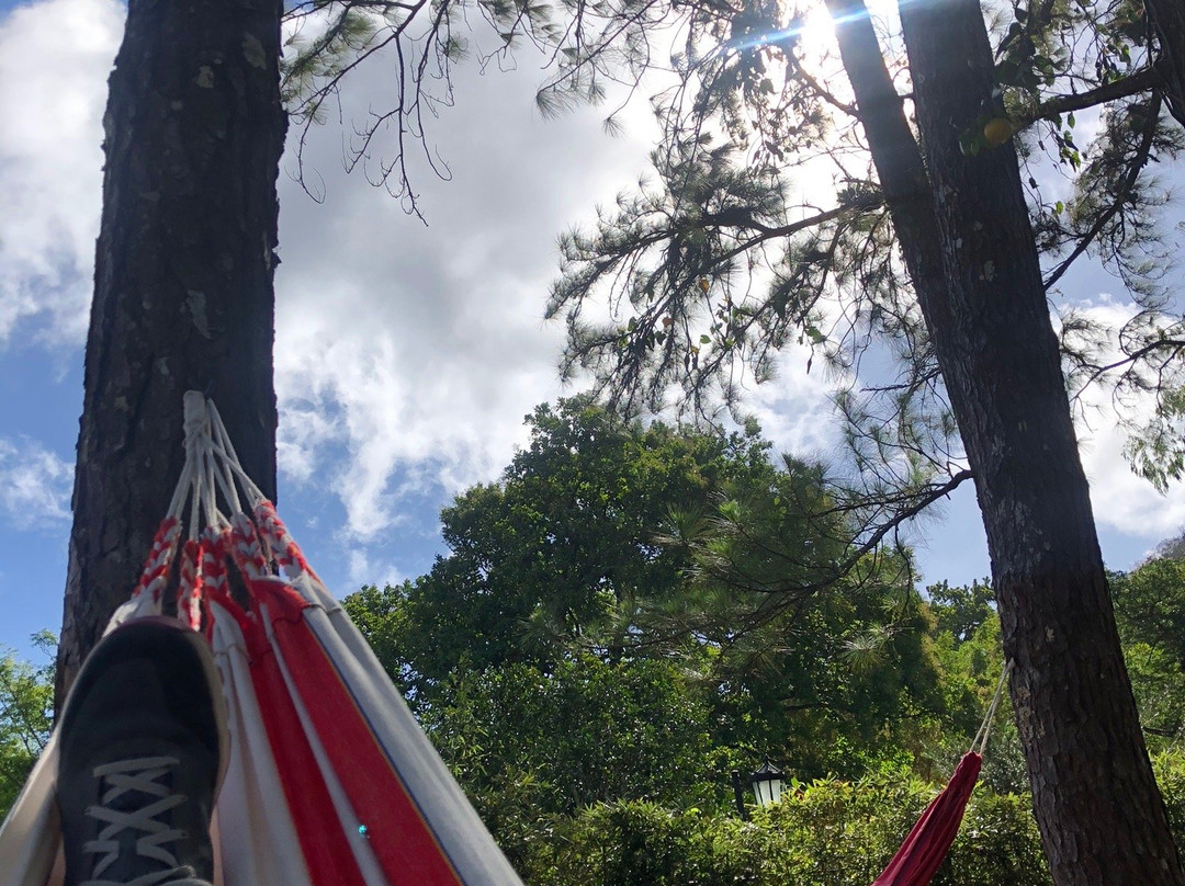 Park Eden Bed & Beakfast主图