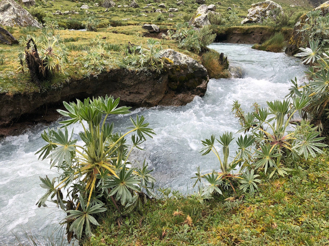 Laguna Llaca-瓦斯卡兰国家公园必去景点