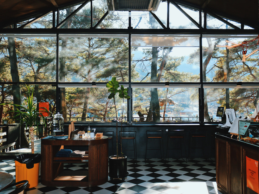 트리팜