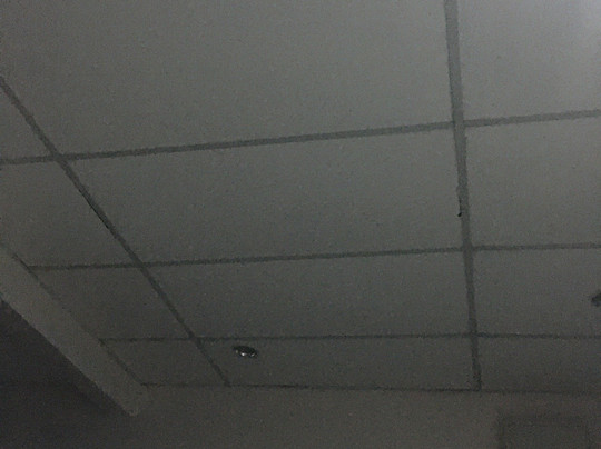 Adina Drive In Motel主图