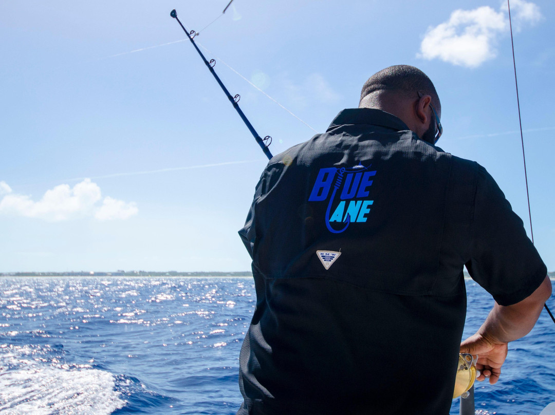 Blue Lane-Turtle Cove必去景点