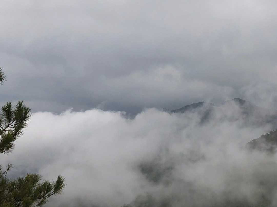 Mount Ulap景点图片