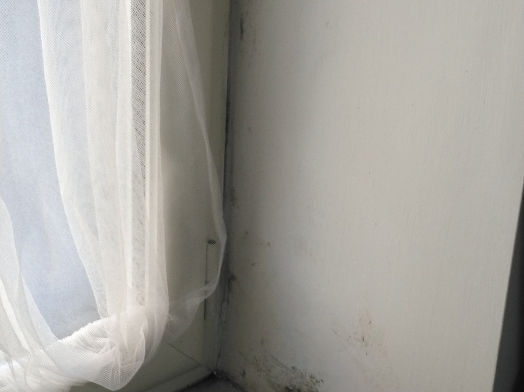 Lady B Bed & Breakfast主图