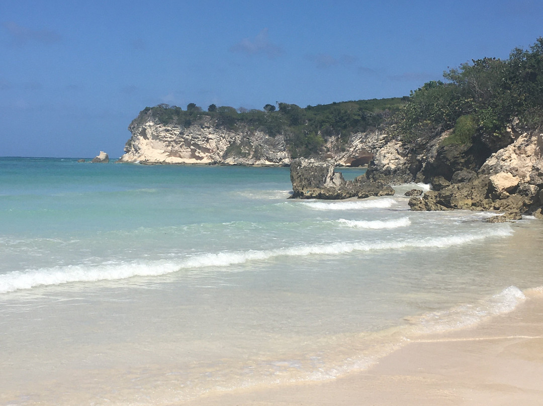 Punta Cana Mike's Dominican Adventure景点图片