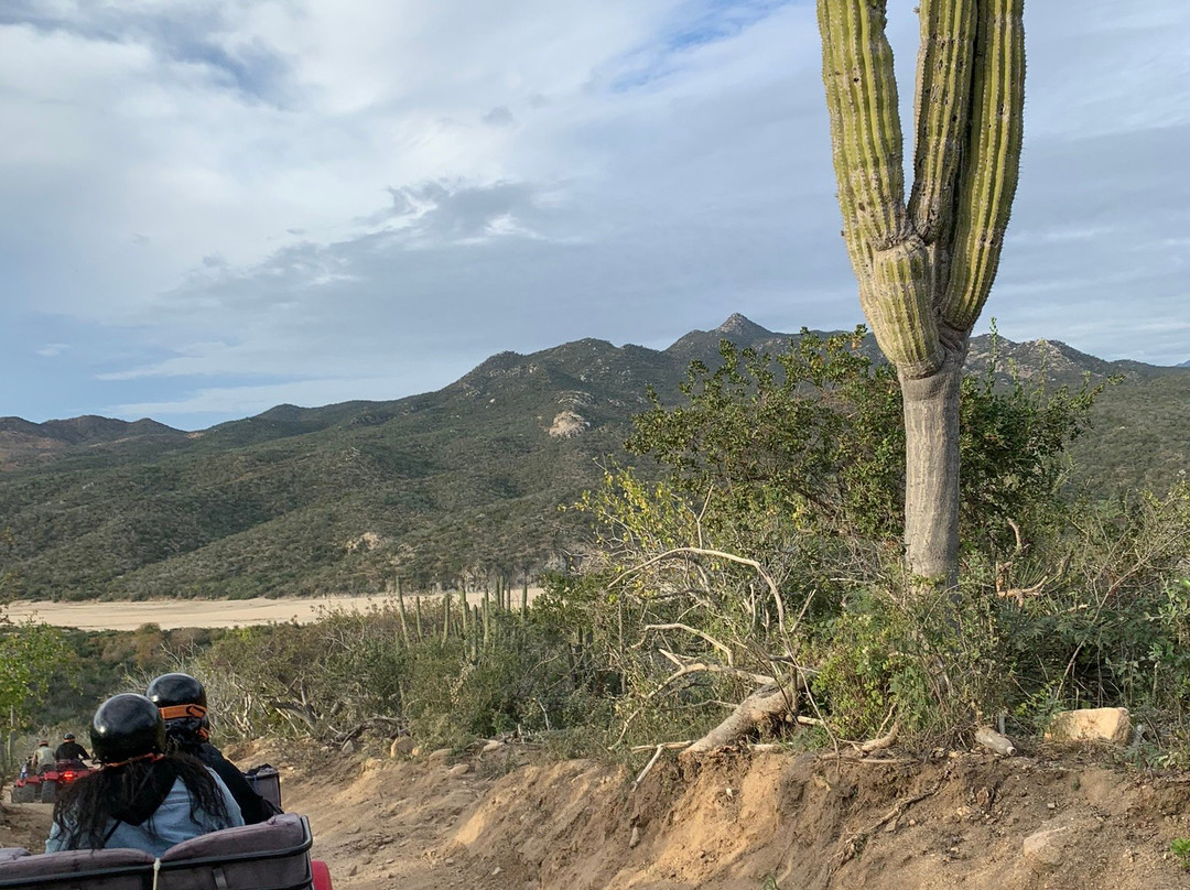Go Baja Tours景点图片