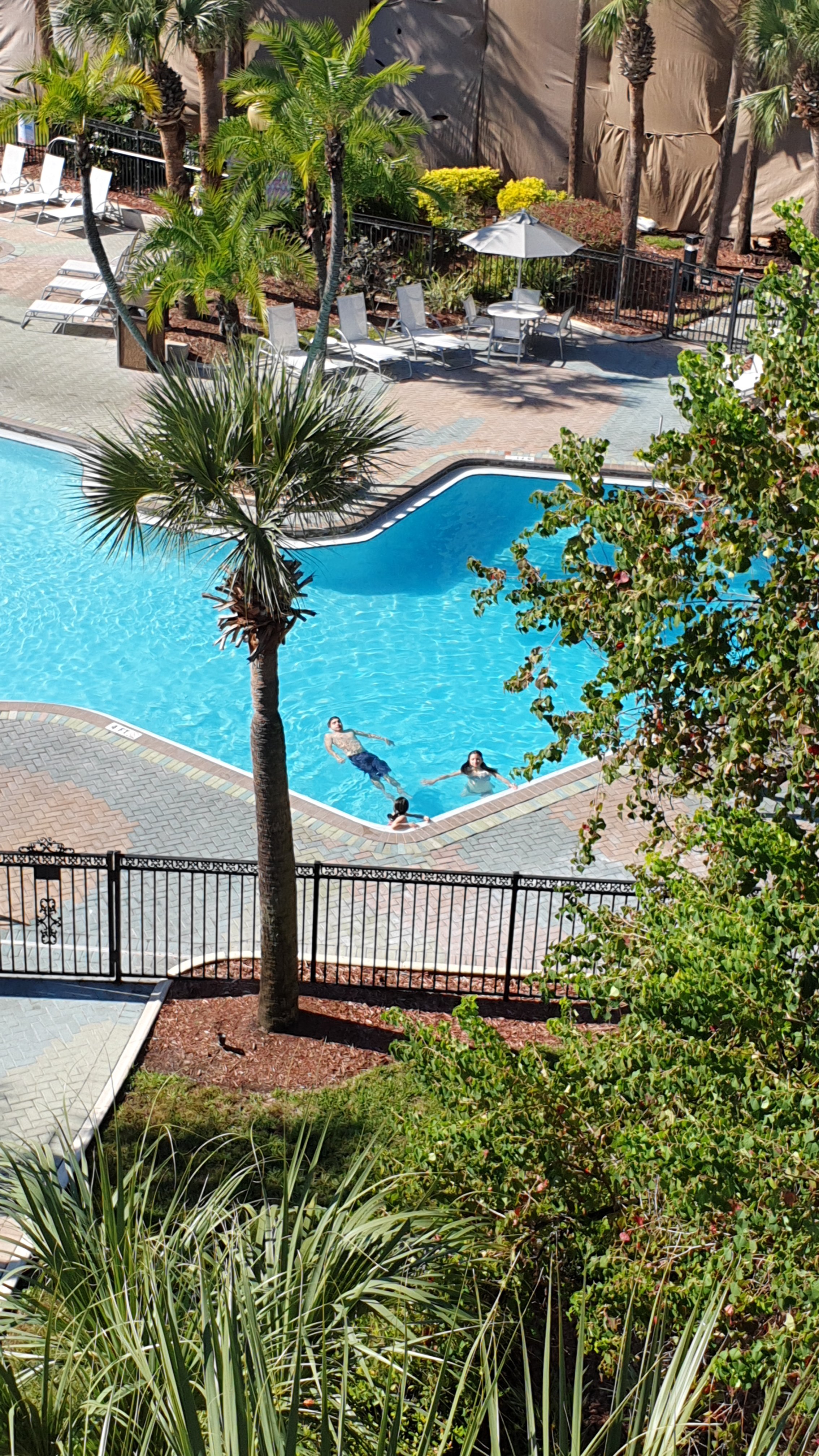 Staybridge Suites Orlando Royale Parc Suites-portrait