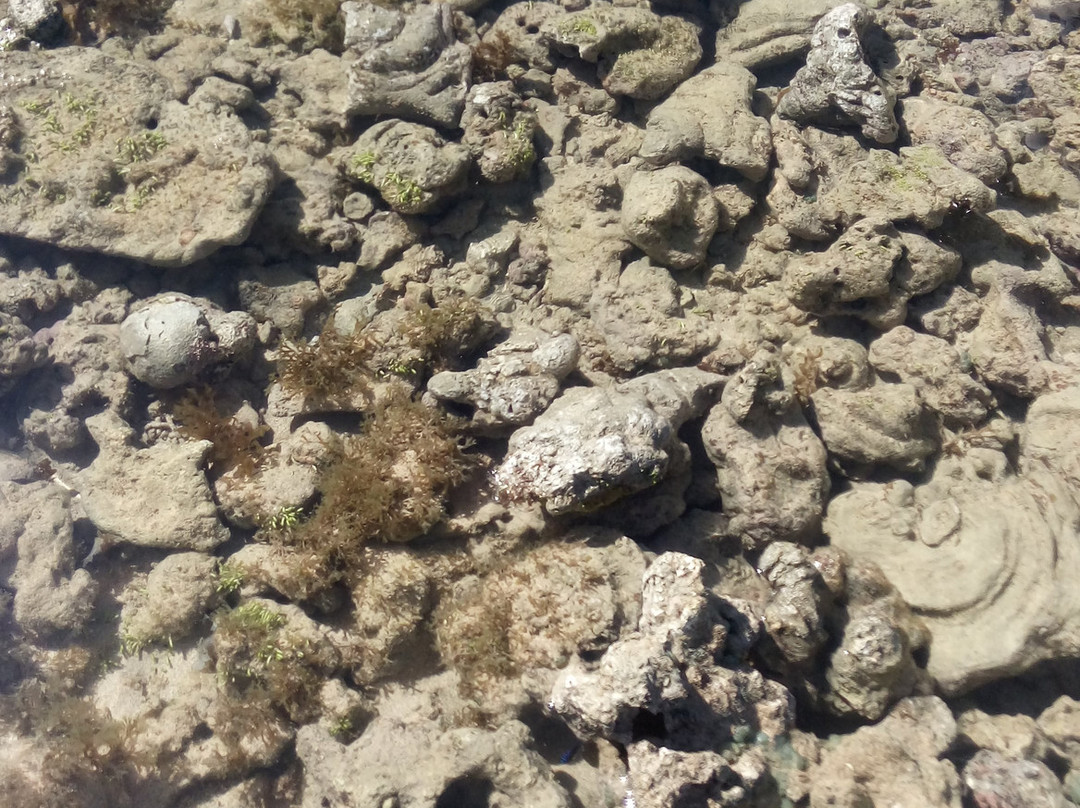 Parque Marinho Recife de Fora-Porto Seguro必去景点