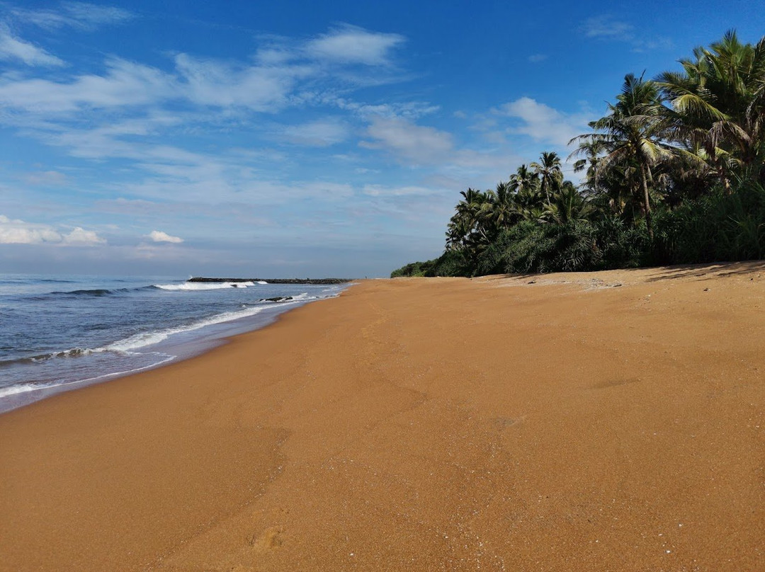 Roy Villa Beach Hotel主图