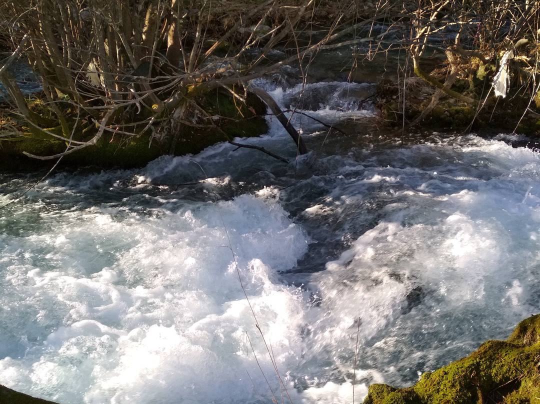 Lousios River-Dimitsana必去景点