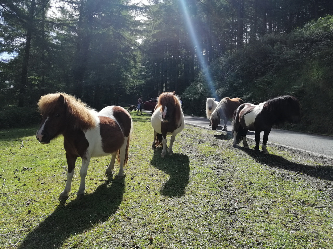 Molino del Infierno/Infernuko-Etxalar必去景点