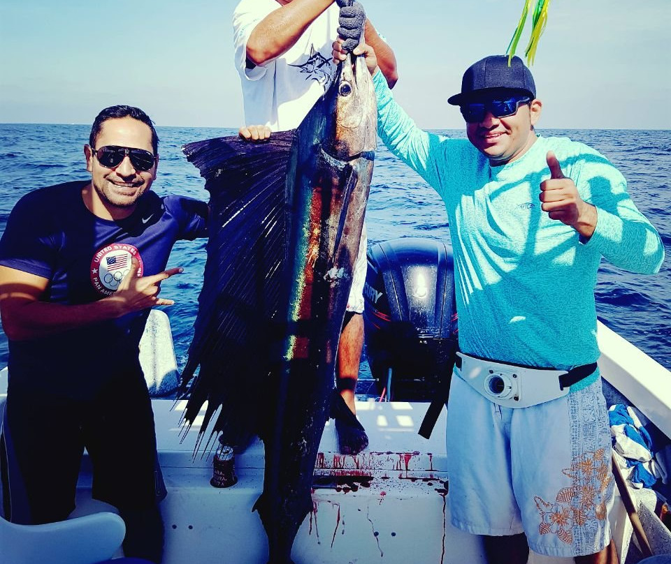 Bay of Banderas-瓦拉塔港必去景点