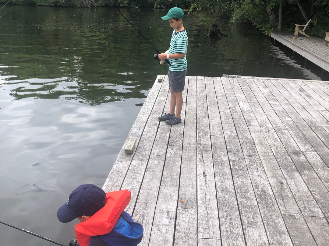 Stout's Island Lodge主图