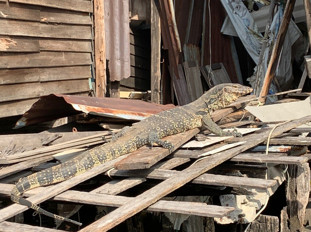 Go Beyond-曼谷必去景点